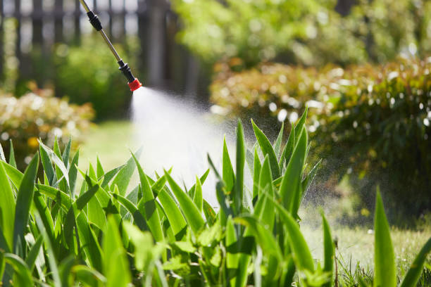 24/7 Emergency Ant Control experts in Anderson, CA